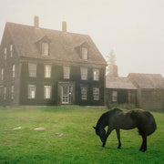 Academy - Meadow Green
