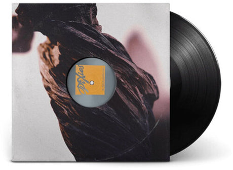 Night The Zombies Came, Pixies, LP