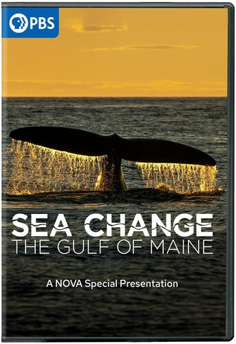 Sea Change: Gulf Maine Nova Special Presentation