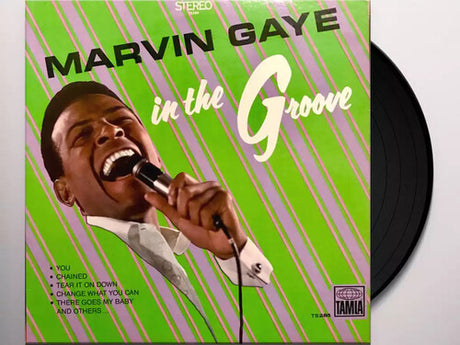 In The Groove, Marvin Gaye, LP
