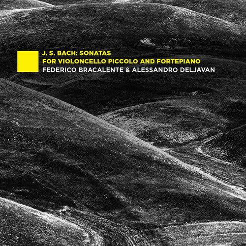 Sonatas For Violoncello Piccolo & Fortepiano