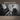 Condon Collection: Masters Of The Piano Roll