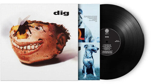 Dig