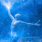 Liquid Mind Xv: In The Love