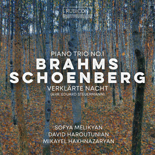 Brahms: Piano Trio No.1 Schoenberg: Verklarte