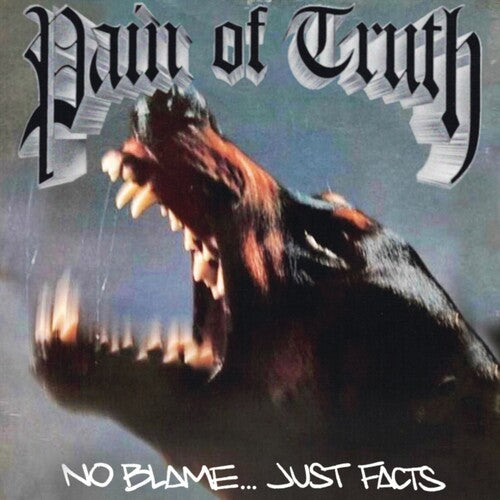 No Blame Just Facts, Pain Of Truth, 12"