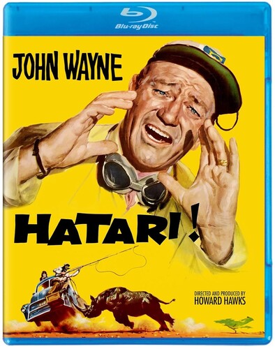 Hatari