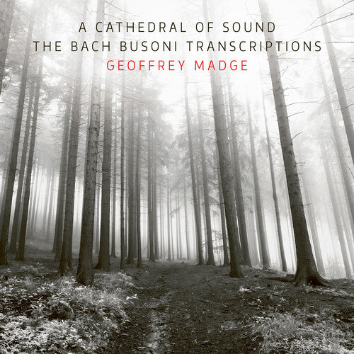 Cathedral Of Sound The Bach Busoni Transcriptions