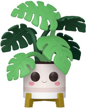 Pop Plants Flora Monstera