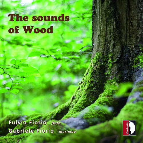 Sounds Of Wood