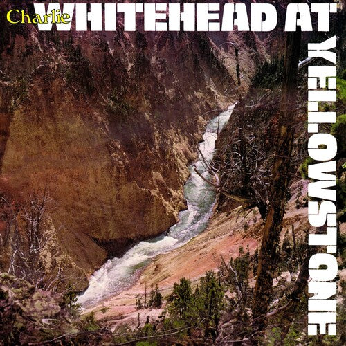 Whitehead At Yellowstone