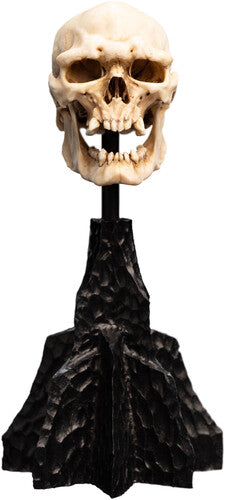 Lotr Trilogy - Skull Of A Mordor Orc Miniature