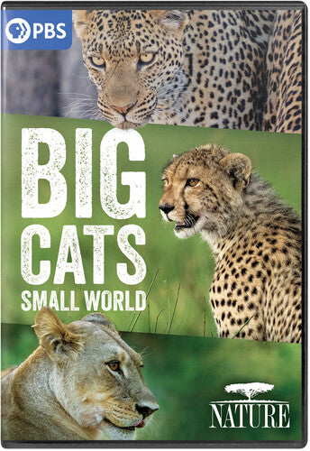 Nature: Big Cats Small World, Nature: Big Cats Small World, DVD