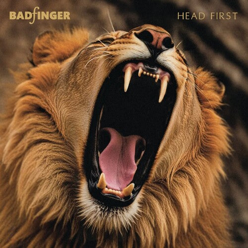 Head First: 50Th Anniversary Special Edition
