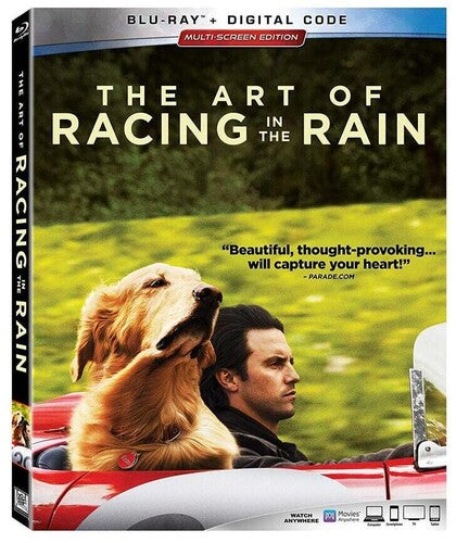 Art Of Racing In The Rain