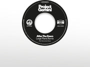 After The Dawn - Large Plants Remix / Darkness