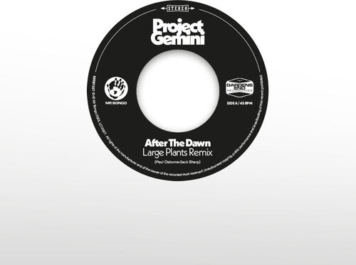 After The Dawn - Large Plants Remix / Darkness