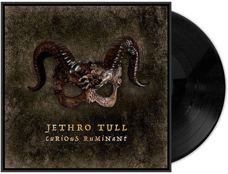 Curious Ruminant, Jethro Tull, LP