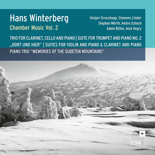 Chamber Music Vol. 2