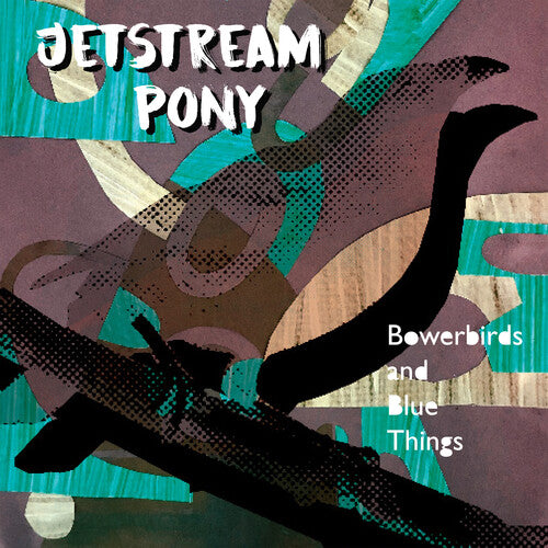 Bowerbirds And Blue Things