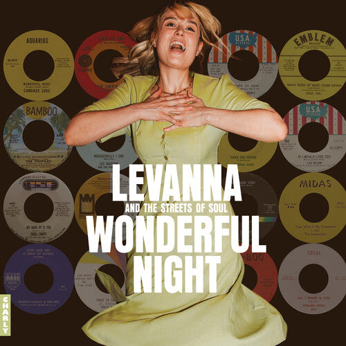 Wonderful Night Curated BY Levanna -- Wonderful Night Curated BY Levanna / Various, CD