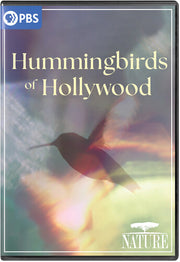 Nature: Hummingbirds Of Hollywood