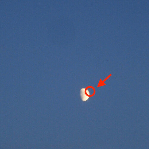Fake Moon