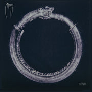 Spin