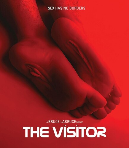 Visitor
