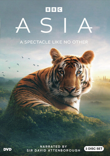 Asia, Asia, DVD