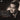 Lieder & Songs On Warner Classics: Hmv Electrola