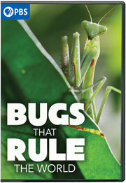 Bugs That Rule The World