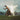 Between You & Me