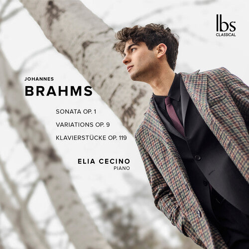 Brahms: Pno Works