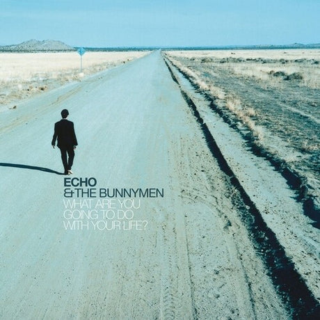 What Are You Going To Do With Your: 25Th Anniv, Echo & The Bunnymen, LP