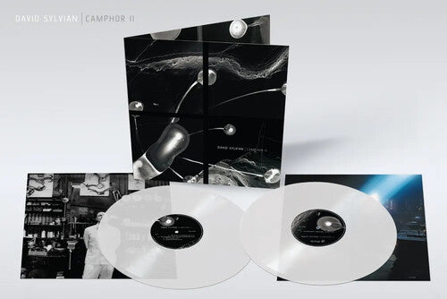 Camphor Ii