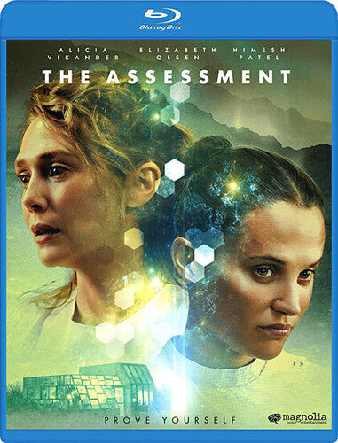 Assessment