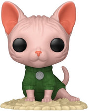 Pop Pets Pets S3 Sphinx Cat