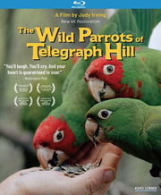 Wild Parrots Of Telegraph Hill