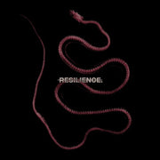 Resilience.
