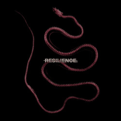 Resilience.