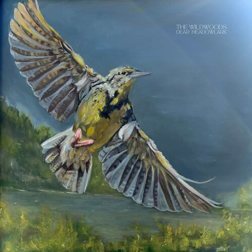 Dear Meadowlark -- Wildwoods, LP