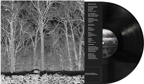 Sunshine & Balance Beams