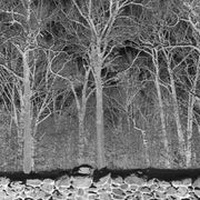 Sunshine & Balance Beams