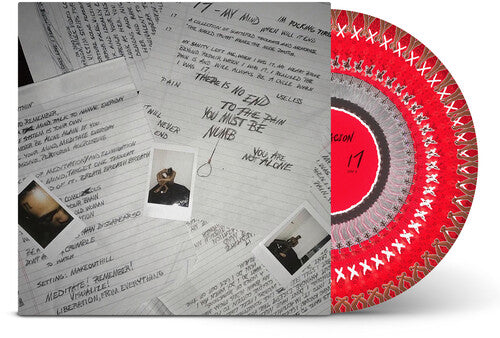 17 (Zoetrope Picture Disc Vinyl)