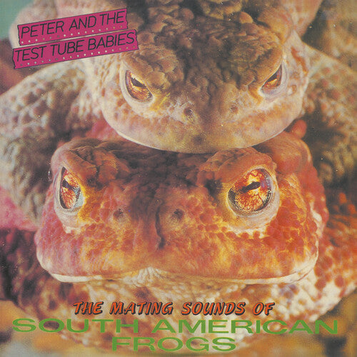 Mating Sounds Of South American Frogs