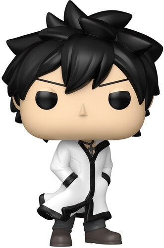 Pop Anime Fairy Tail 100 Years Quest Gray Styles