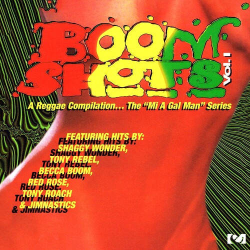 Boom Shots Vol 1 - Reggae Compilation / Various