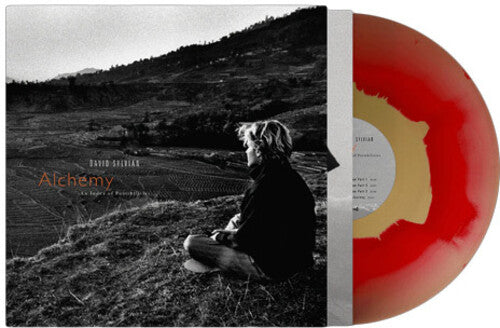Alchemy: An Index Of Possibilities - Gold Opaque, David Sylvian, LP
