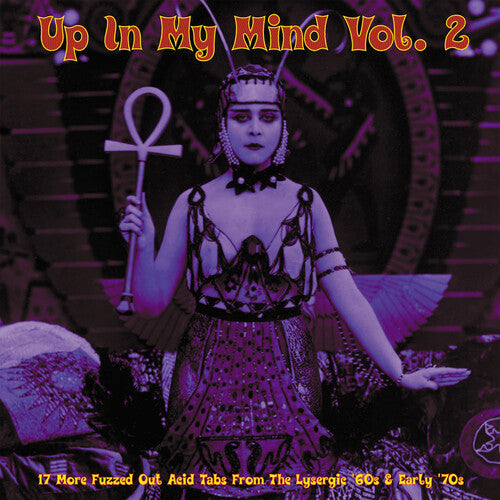 Up In My Mind Vol 2: 17 More Fuzzed Out Acid / Var
